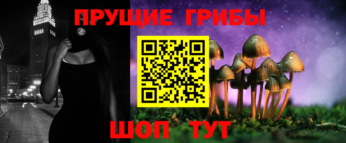 Псилоцибиновые грибы Cubensis  Псилоцибиновые грибы Psilocybe  Вход с VPN  Строитель 