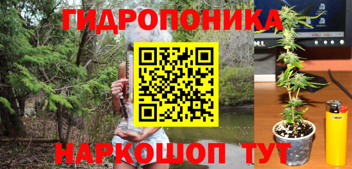 Канабис планчик  Канабис Bruce Banner  Вход с VPN  Строитель 